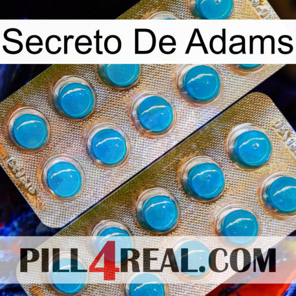 Adams Secret new08.jpg